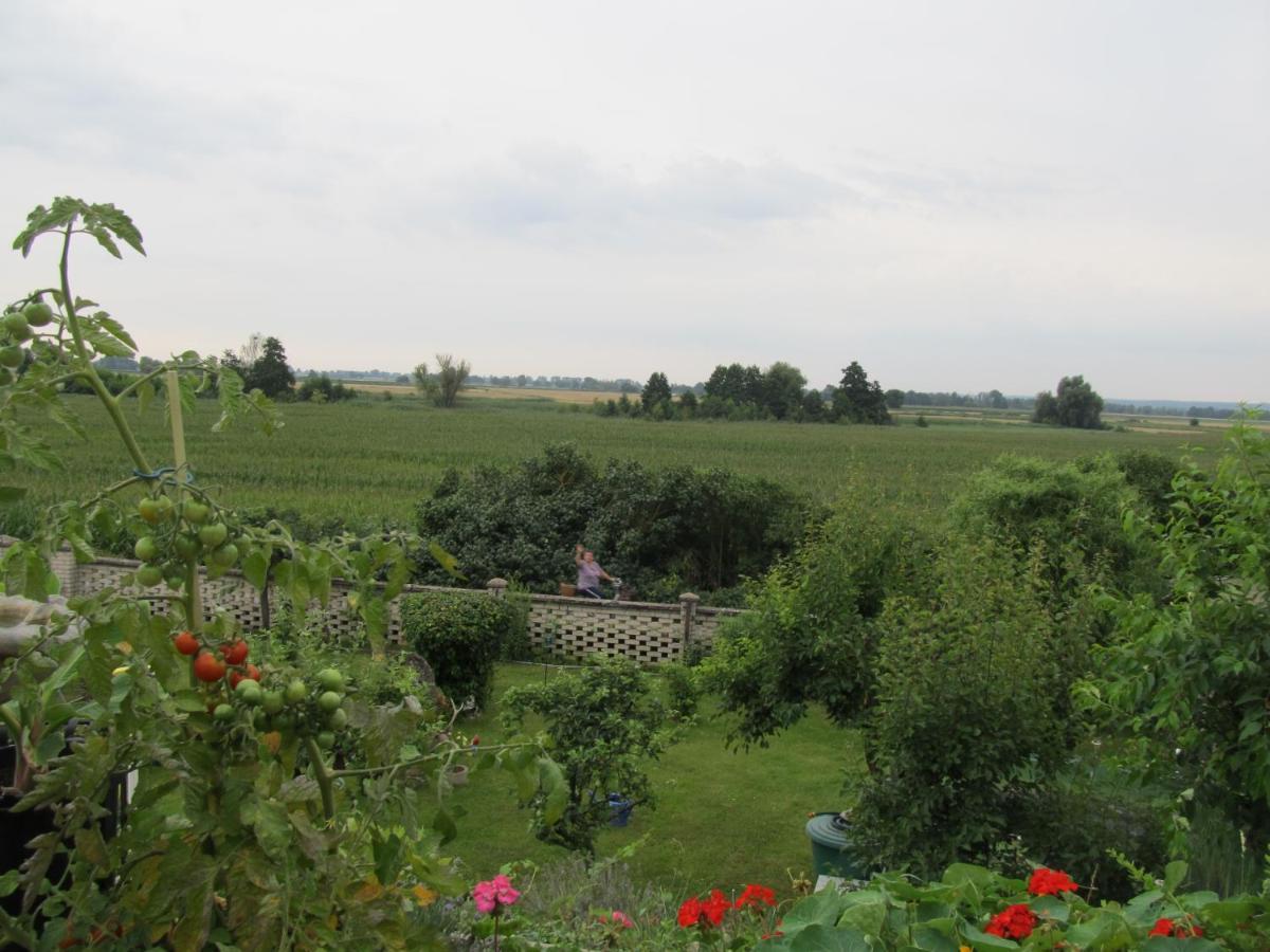 zum Wiesengrund im Oderbruch Altglietzen Exterior foto